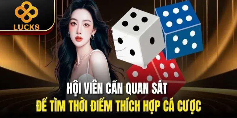Hội viên cần quan sát để tìm thời điểm thích hợp cá cược