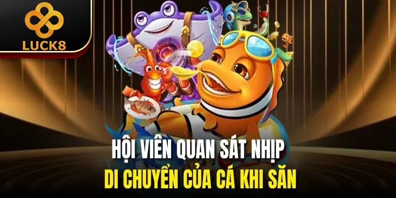 Hội viên quan sát nhịp di chuyển của cá khi săn